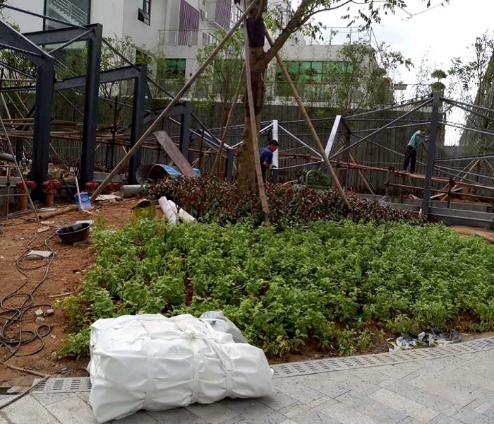膜結構通道雨棚材料進場-燁興膜結構 膜結構通道雨棚材料進場.jpg